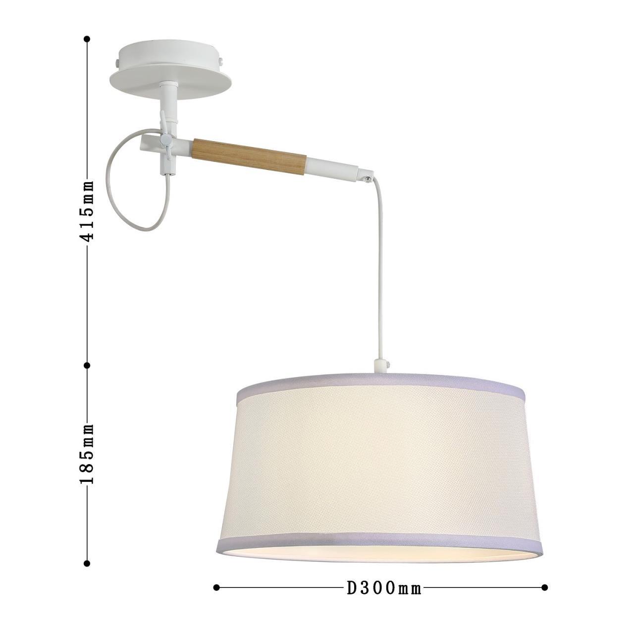 Настенно-потолочный светильник F-Promo Eureka 3005-1P в Москве