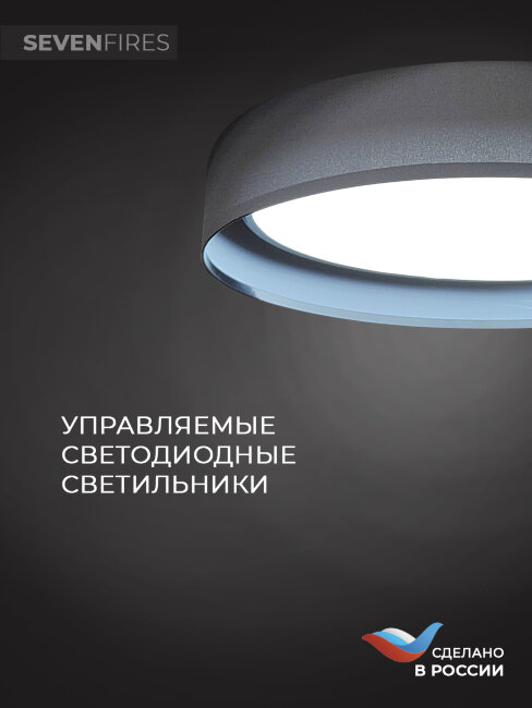 Потолочный светильник Seven Fires Лагом 48203.40.72.77BK-BK