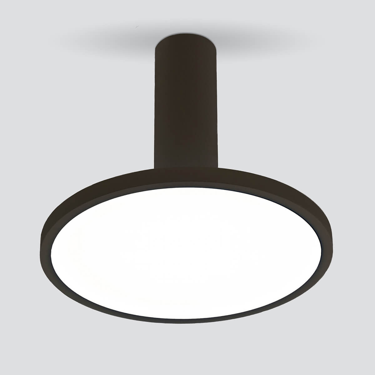 Накладной светильник Elektrostandard DLS029 12W 4200K черный матовый