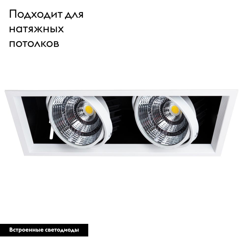 Встраиваемый светильник Arte Lamp Merga A8450PL-2WH