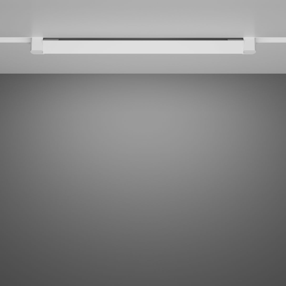 Трековый однофазный светильник Maytoni Basis Rot TR104-1-20W4K-W