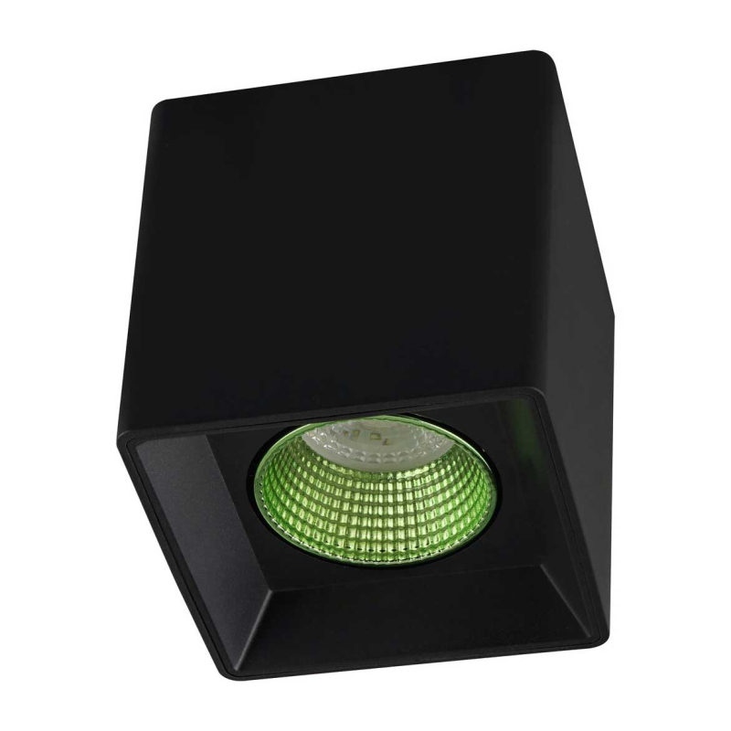 Накладной светильник Denkirs DK3080-BK+GR