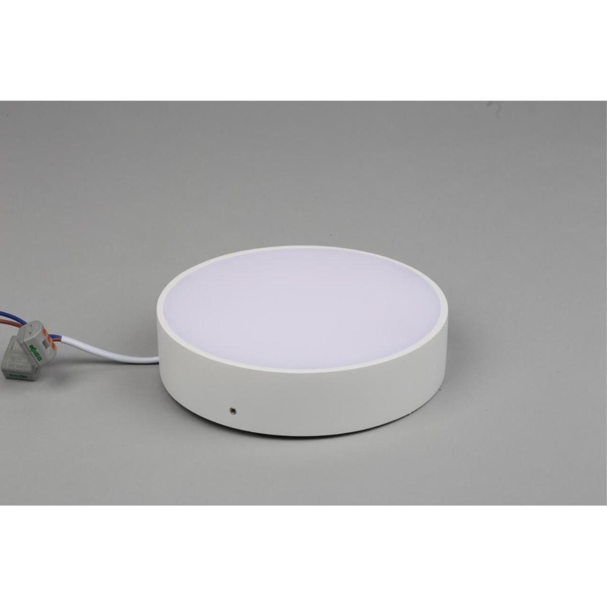 Потолочный светильник Aployt Evon APL.0114.09.18