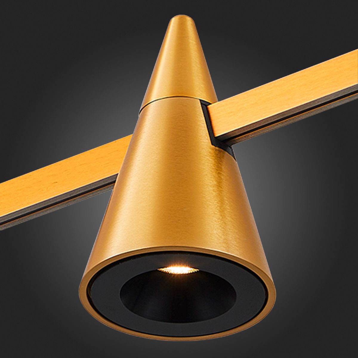 Трековый магнитный светильник ST Luce Farm ST813.206.05