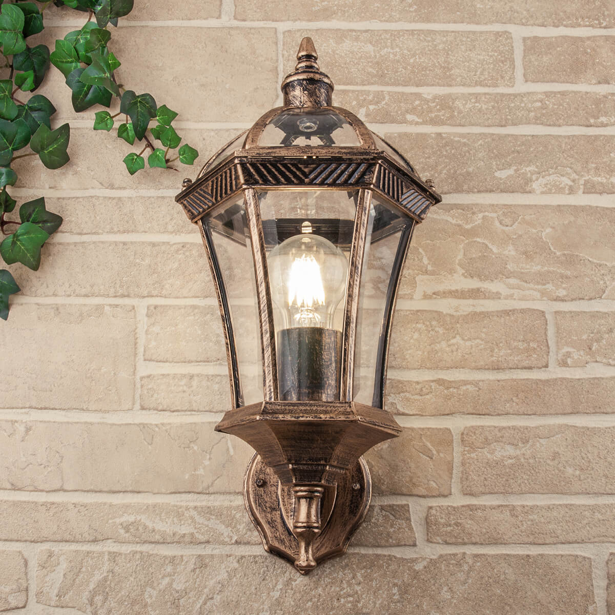 Уличный настенный светильник Elektrostandard Capella 4690389012228