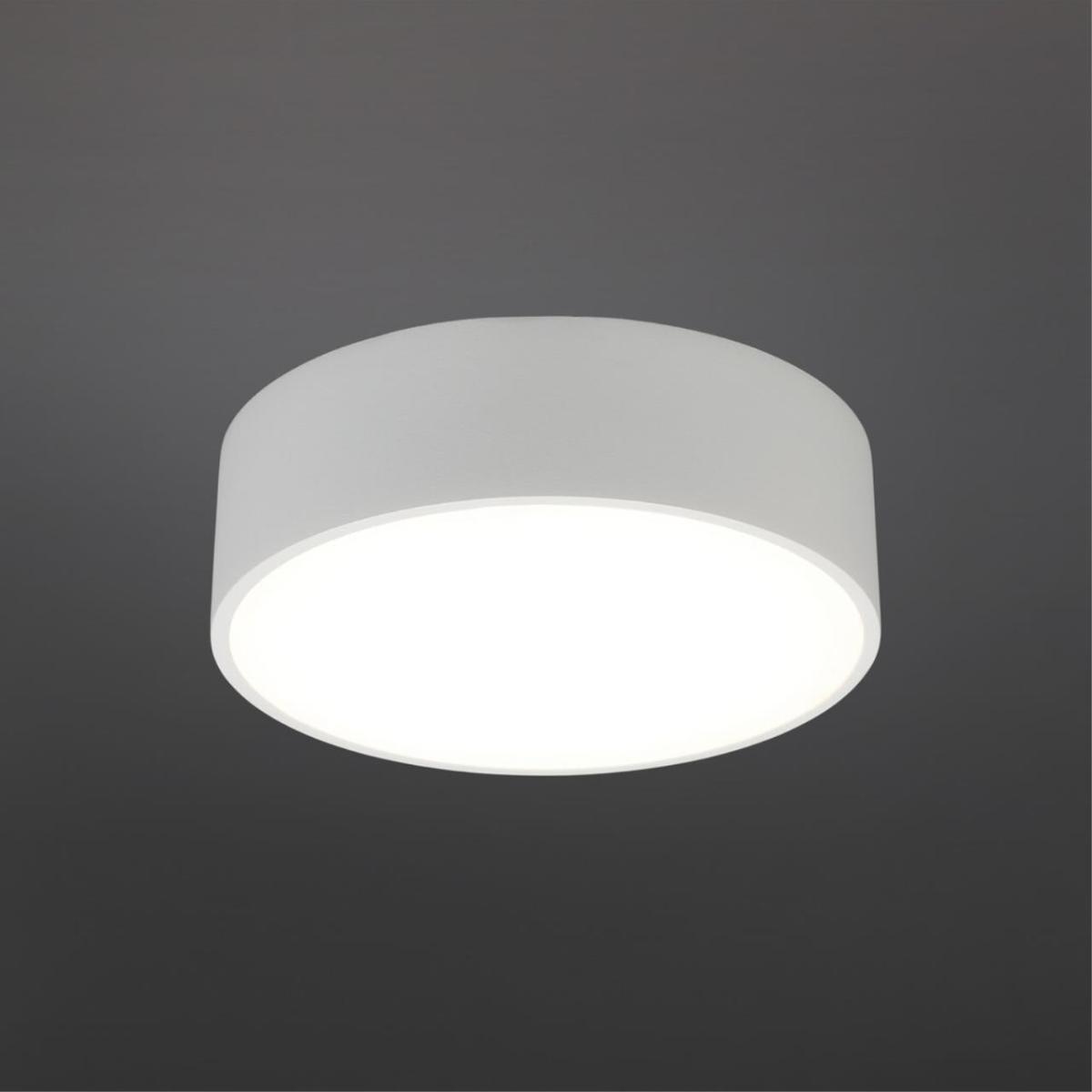 Потолочный светильник Aployt Evon APL.0114.09.12