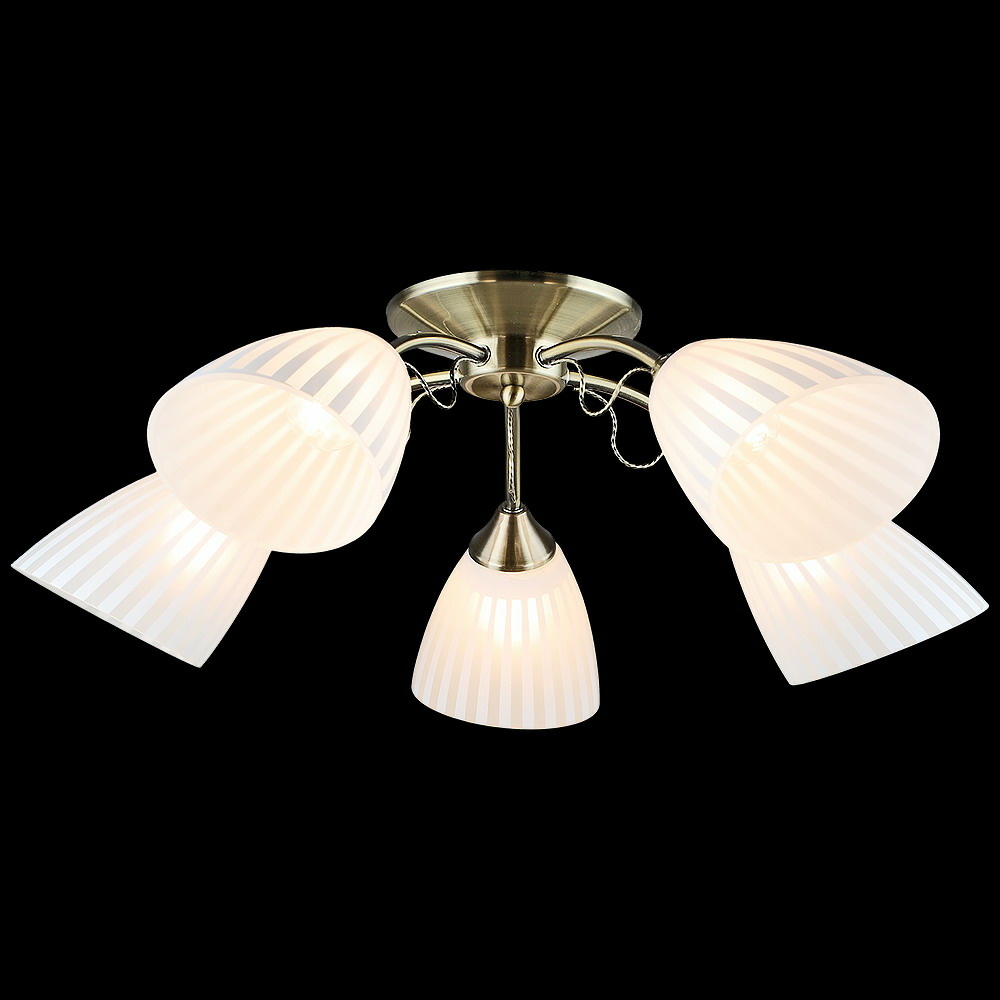 Потолочная люстра Reluce 05064-0.3-05 AB