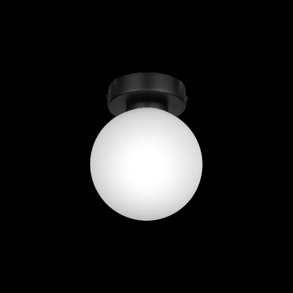 Настенно-потолочный светильник 33 Идеи WLL105.17BL-S01WH