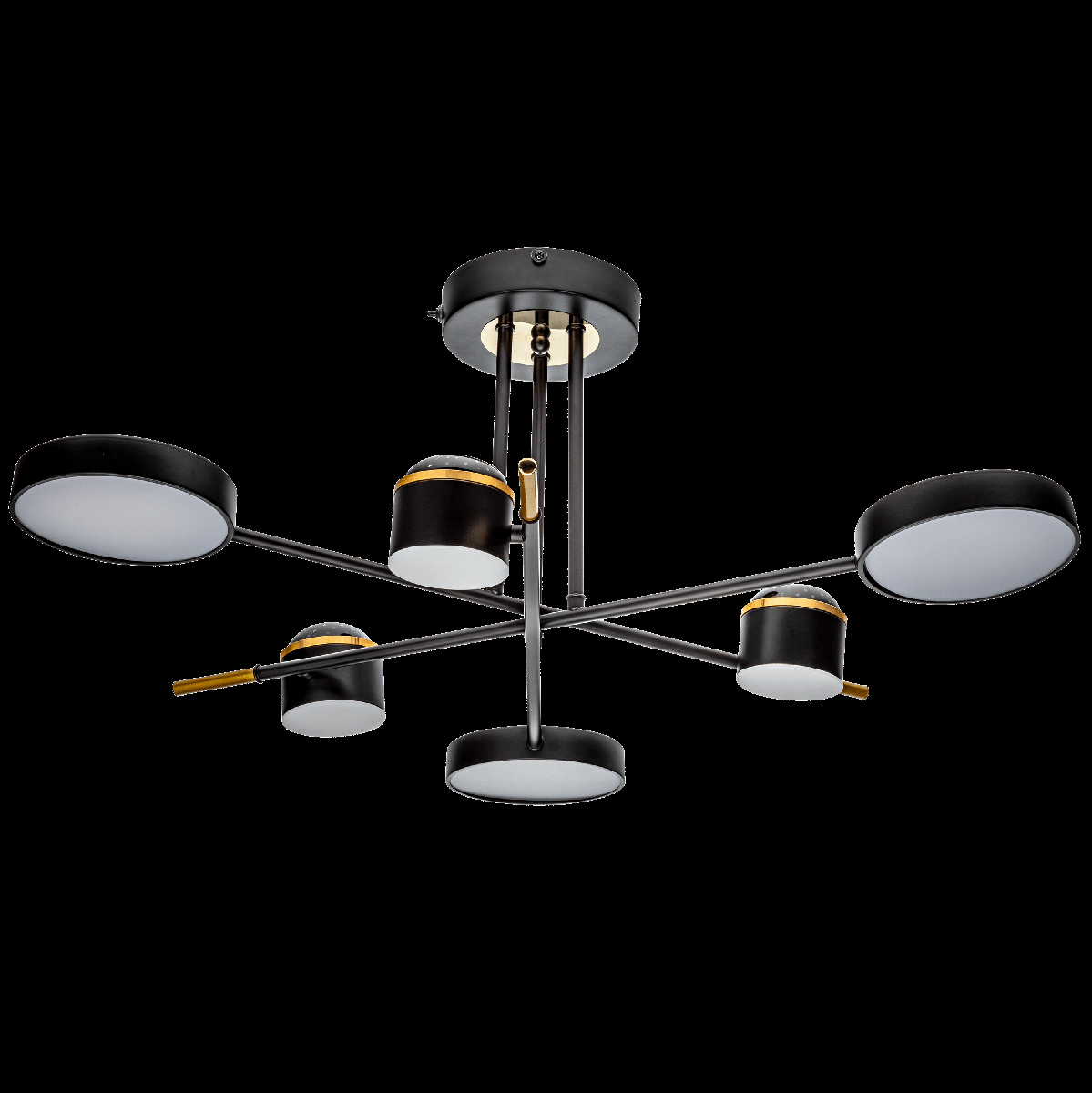 Потолочная люстра Ritter Notte 51631 0