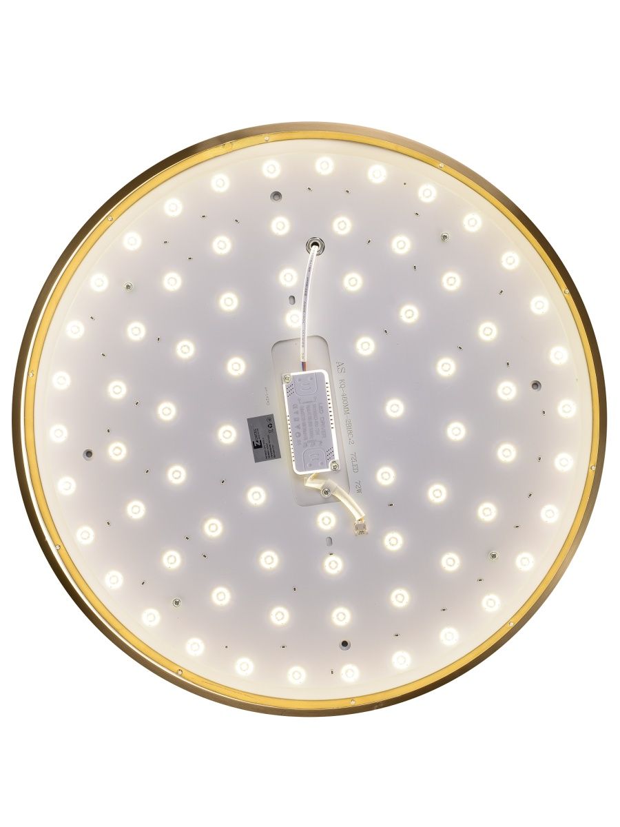 Потолочный светильник Zortes Monna ZRS.1209.12