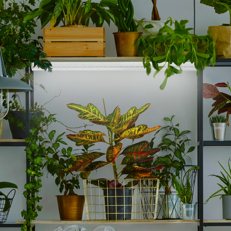 Фитолампа для растений светодиодная ЭРА G13 9W 4000K FITO-9W-Ra90-Т8-G13-NL Б0042988