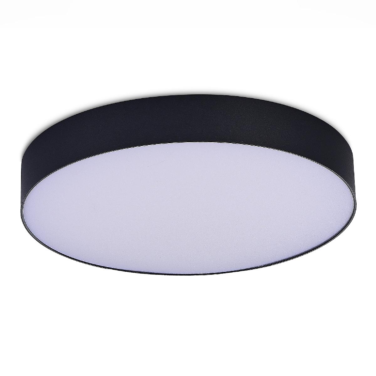 Потолочный светильник ST Luce ST606.442.48