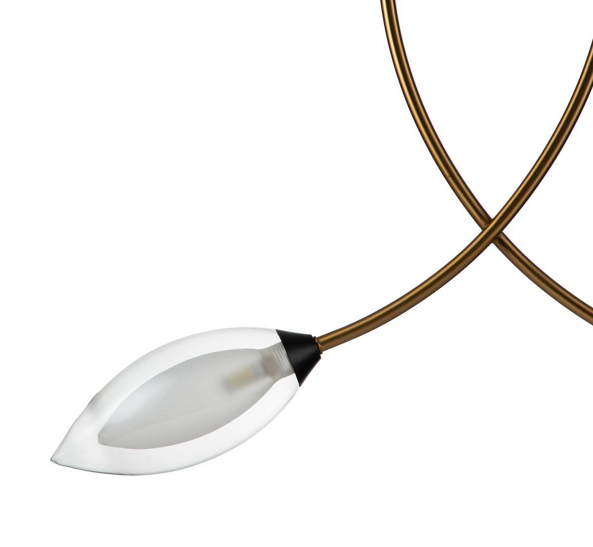 Подвесной светильник Indigo Fiore 13001/2P Black V000140