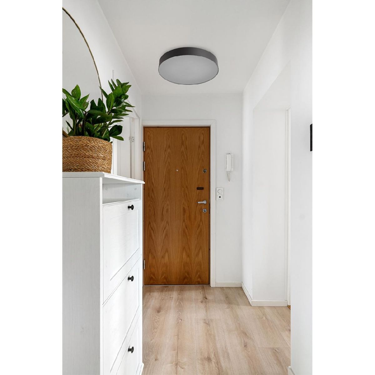 Настенно-потолочный светильник Sonex Basica Optima 7780/DL