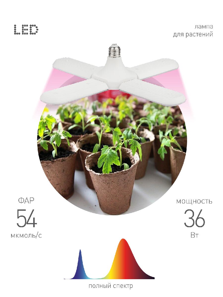 Светильник для растений Эра FITO-36W-RB-E27-FOLD Б0053289