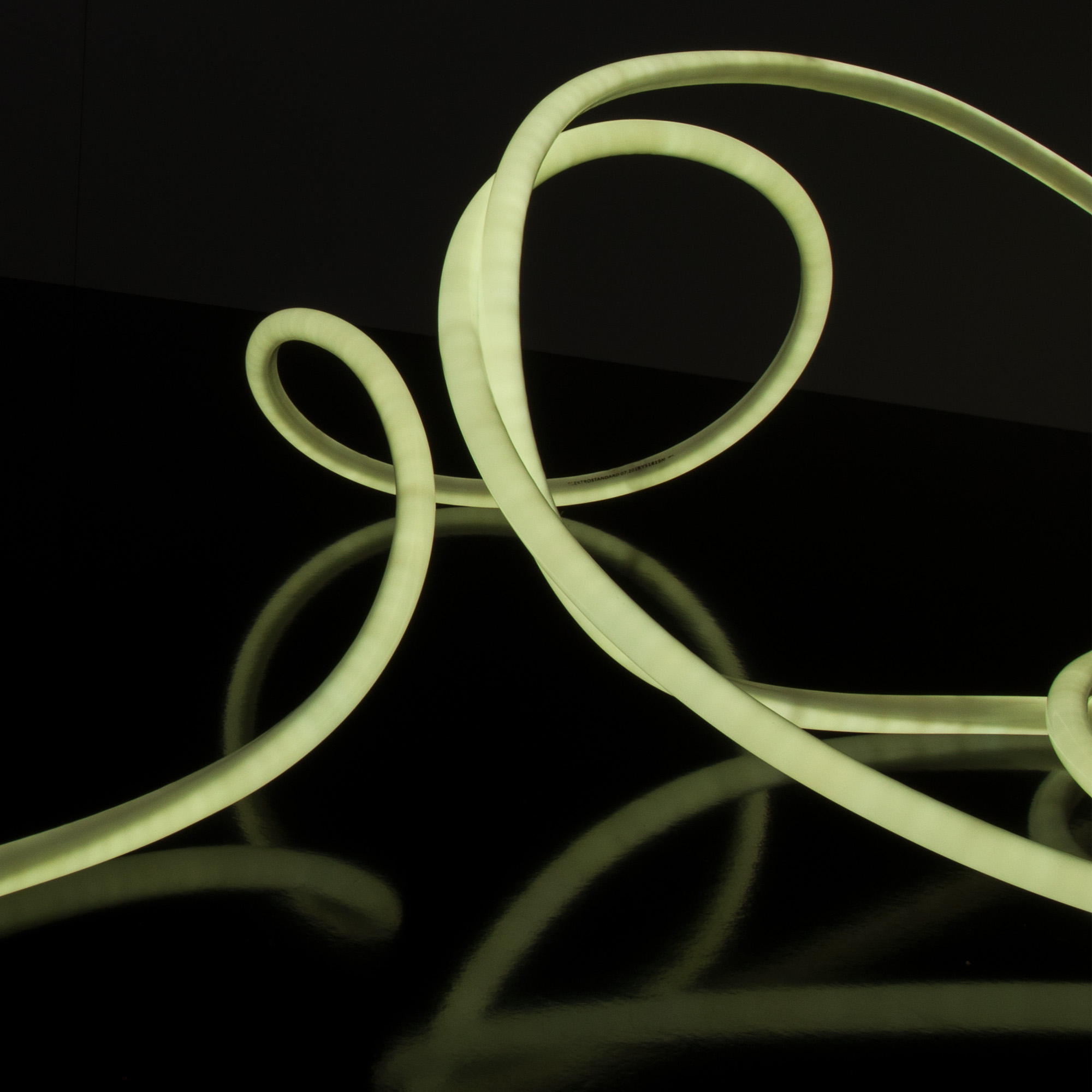 Светодиодный гибкий неон Elektrostandard 220V 9,6W 144Led 2835 IP67 круглый холодный белый, 50 м 4690389134692