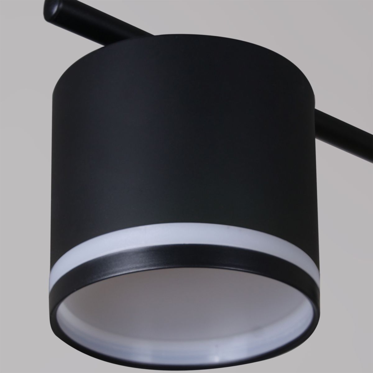 Потолочная люстра Reluce 22008-0.3-10 GX53