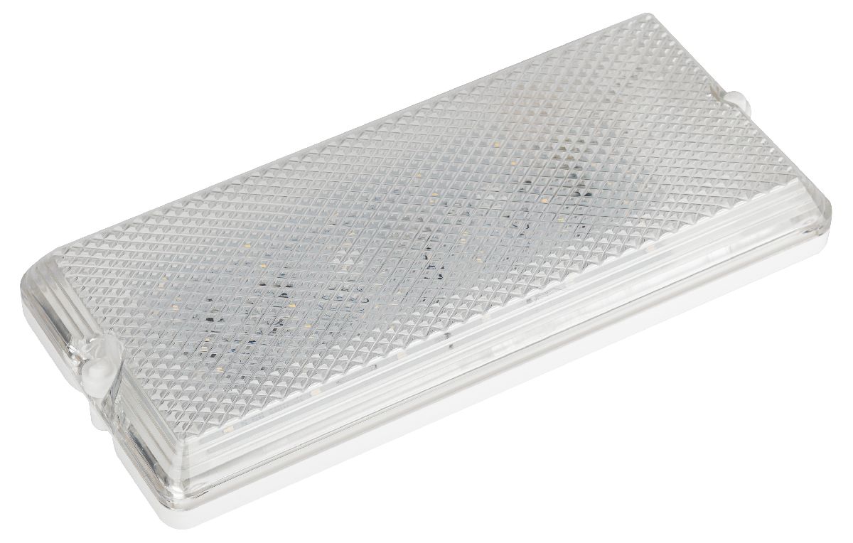 Настенно-потолочный светильник Эра ДБО 01-12-001 Б0061157