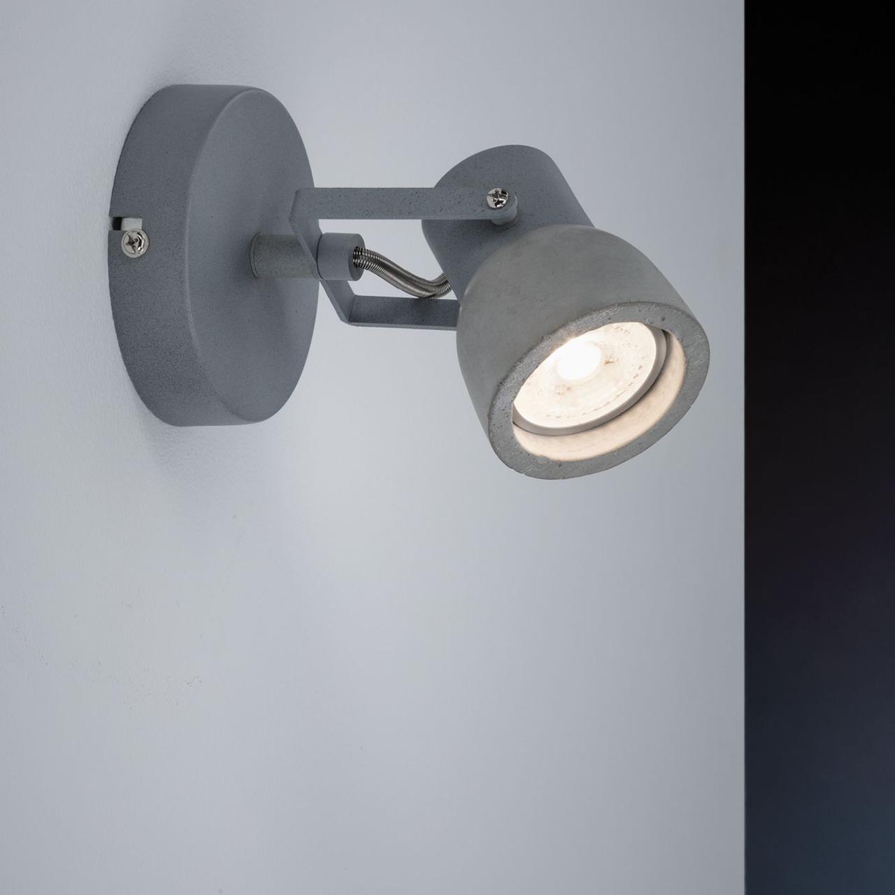 Спот Paulmann Ogma 66739