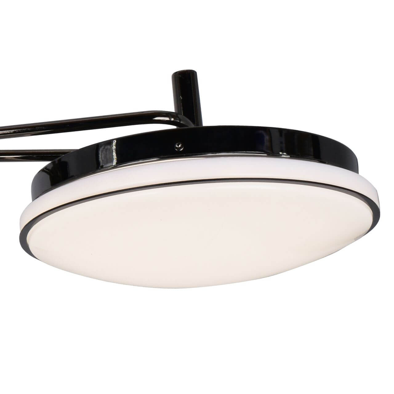 Потолочная светодиодная люстра F-Promo Ledante 2470-3P