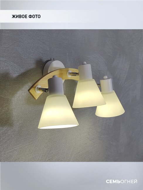 Спот Wedo Light Alva WD3510/3W-WT