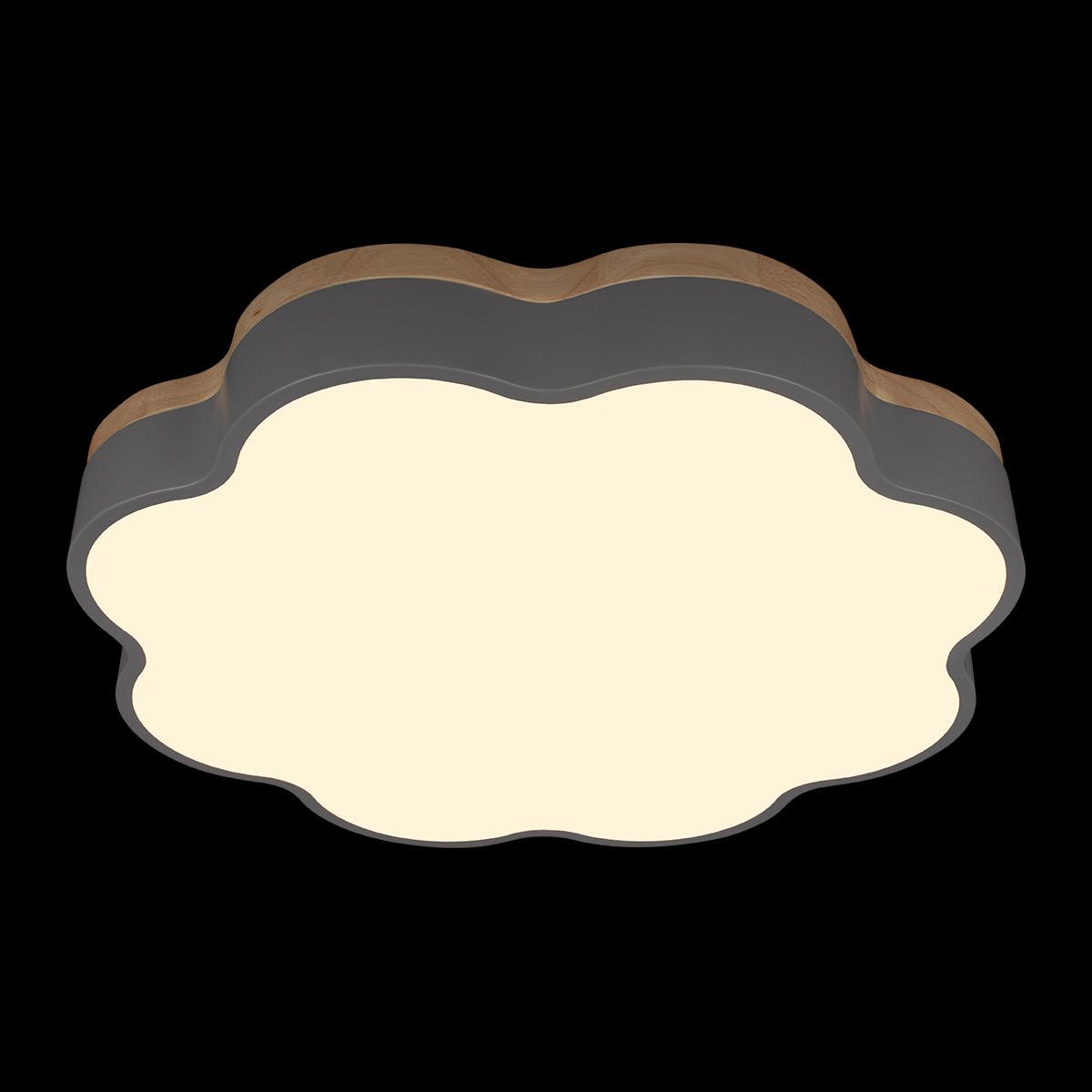 Потолочный светильник Loft IT Axel 10225/36 Grey