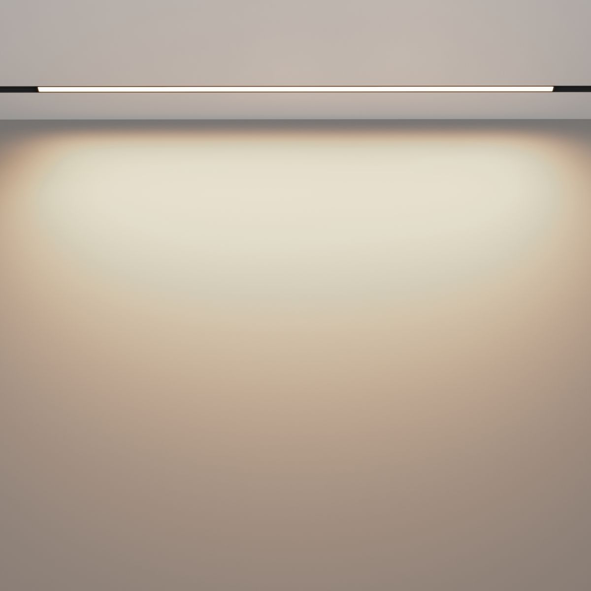 Трековый магнитный светильник Maytoni Basis TR030-4-30WTW-DD2-B