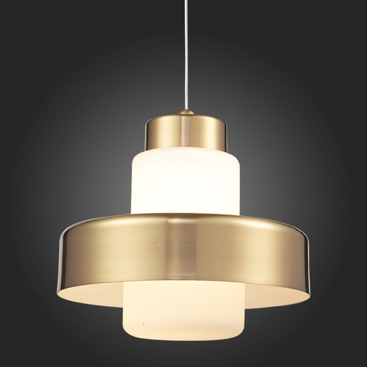 Подвесной светодиодный светильник ST Luce SL345.033.01