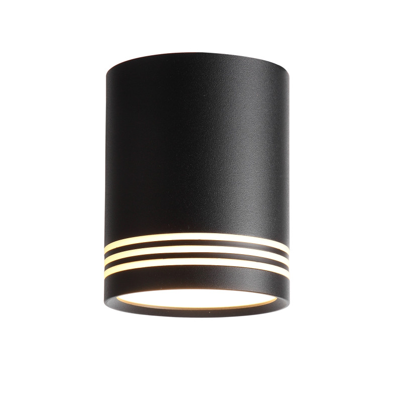 Накладной светильник ST Luce ST101.402.12