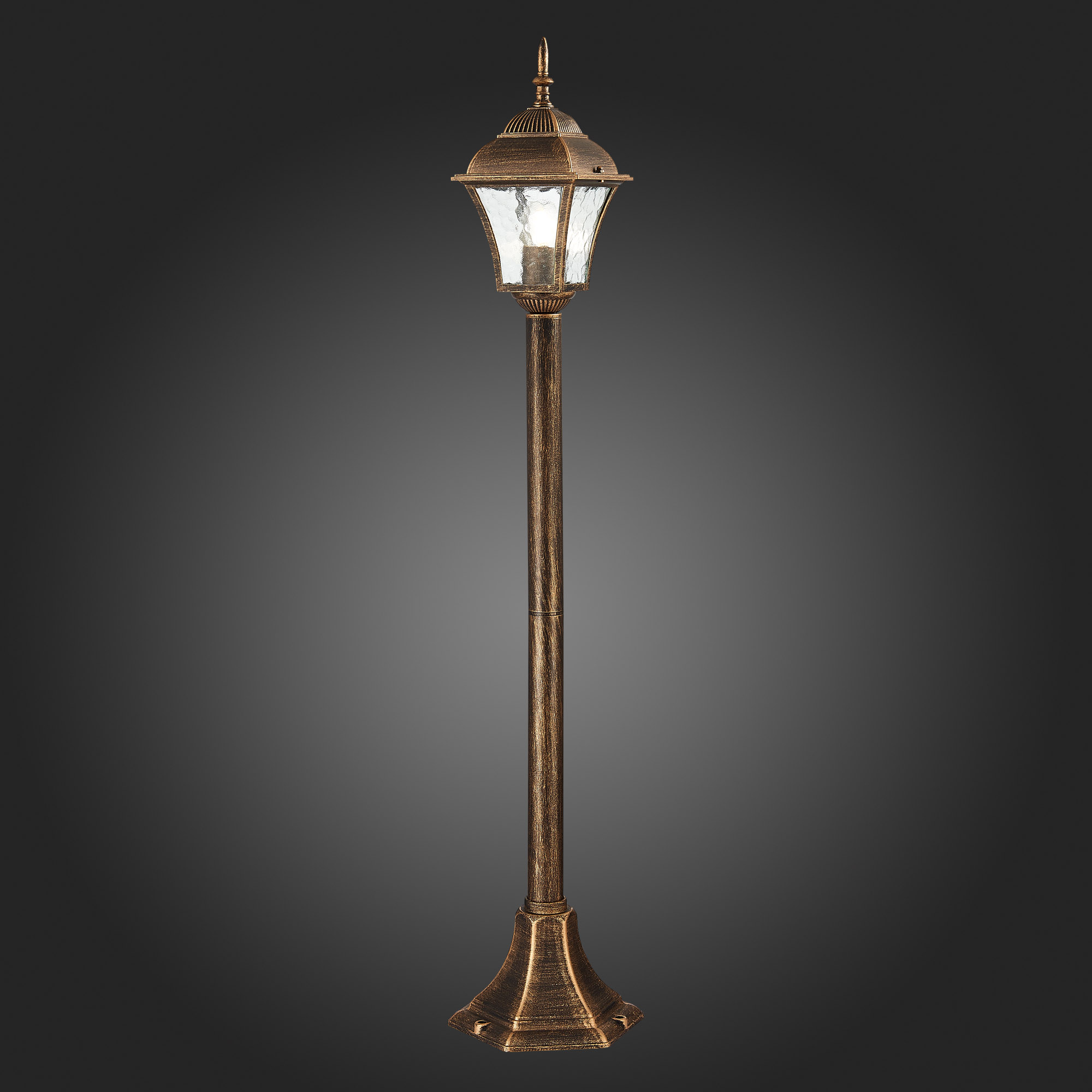 Садово-парковый светильник ST Luce Domenico SL082.215.01