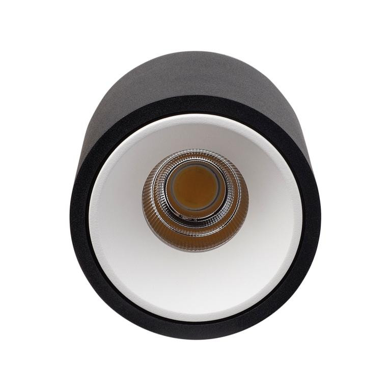 Влагозащищенный светильник LeDron RINBOK Black/White 00000018210