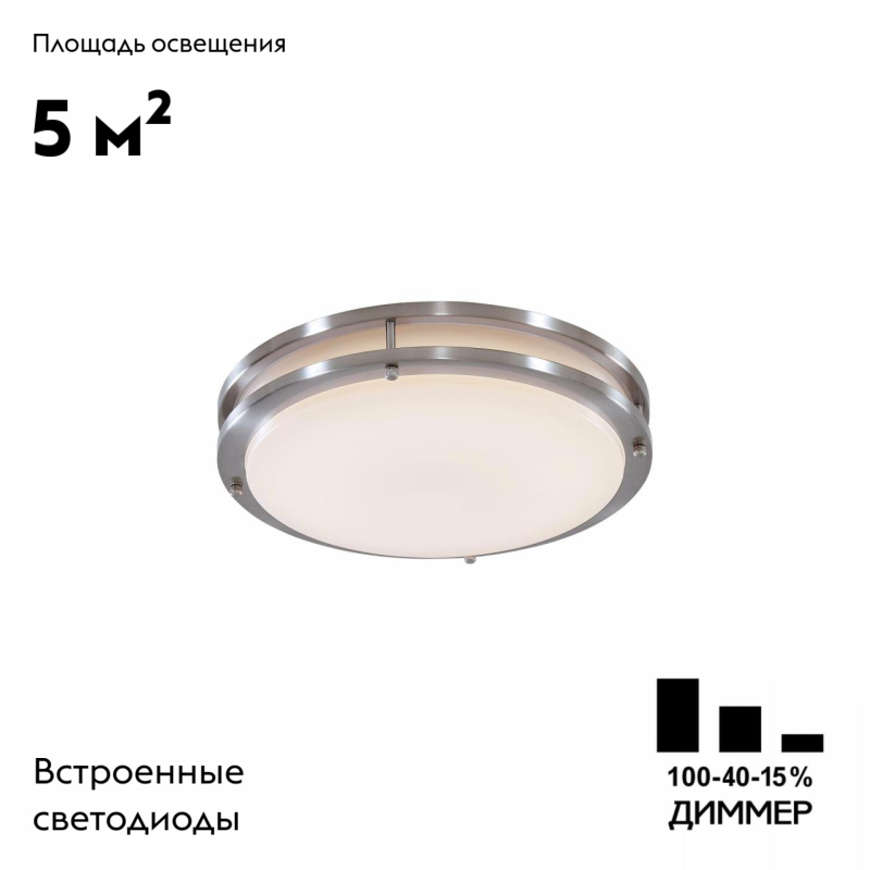 Настенно-потолочный светильник Citilux Бостон CL709201N