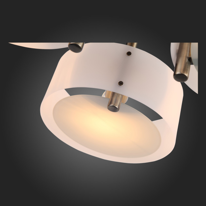 Накладная люстра ST-Luce SL483.352.03