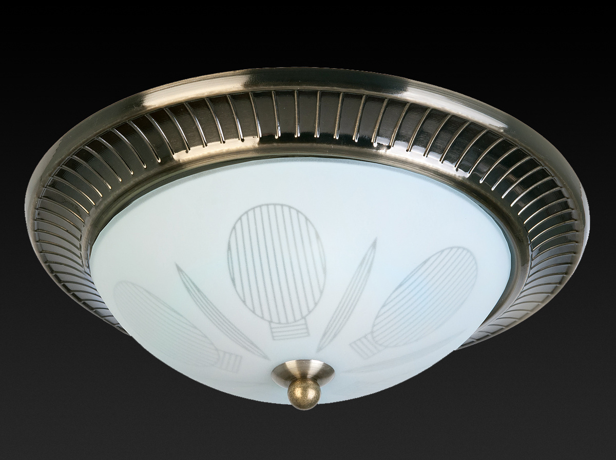 Накладной светильник Toplight Fae TL5060Y-02AB