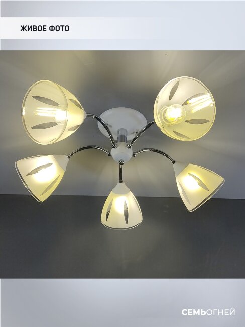 Потолочная люстра Wedo Light Ayna WD3521/5C-WT-CR-WT