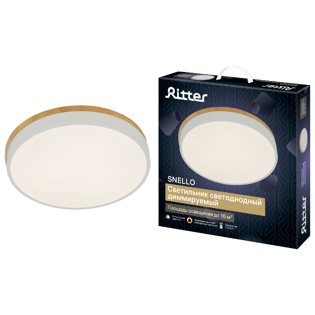 Потолочный светильник Ritter Snello 51623 5