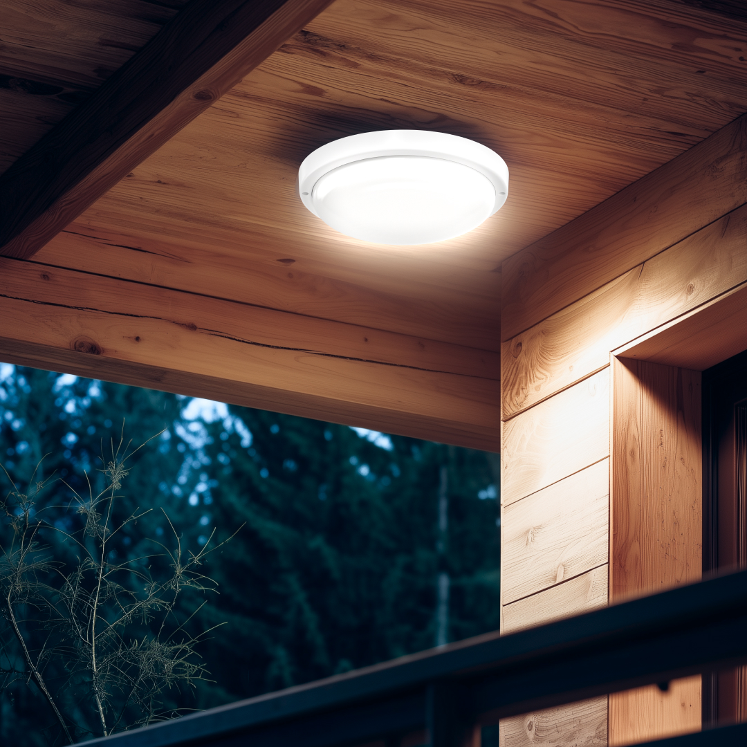 Светильник светодиодный герметичный OGM О28-10