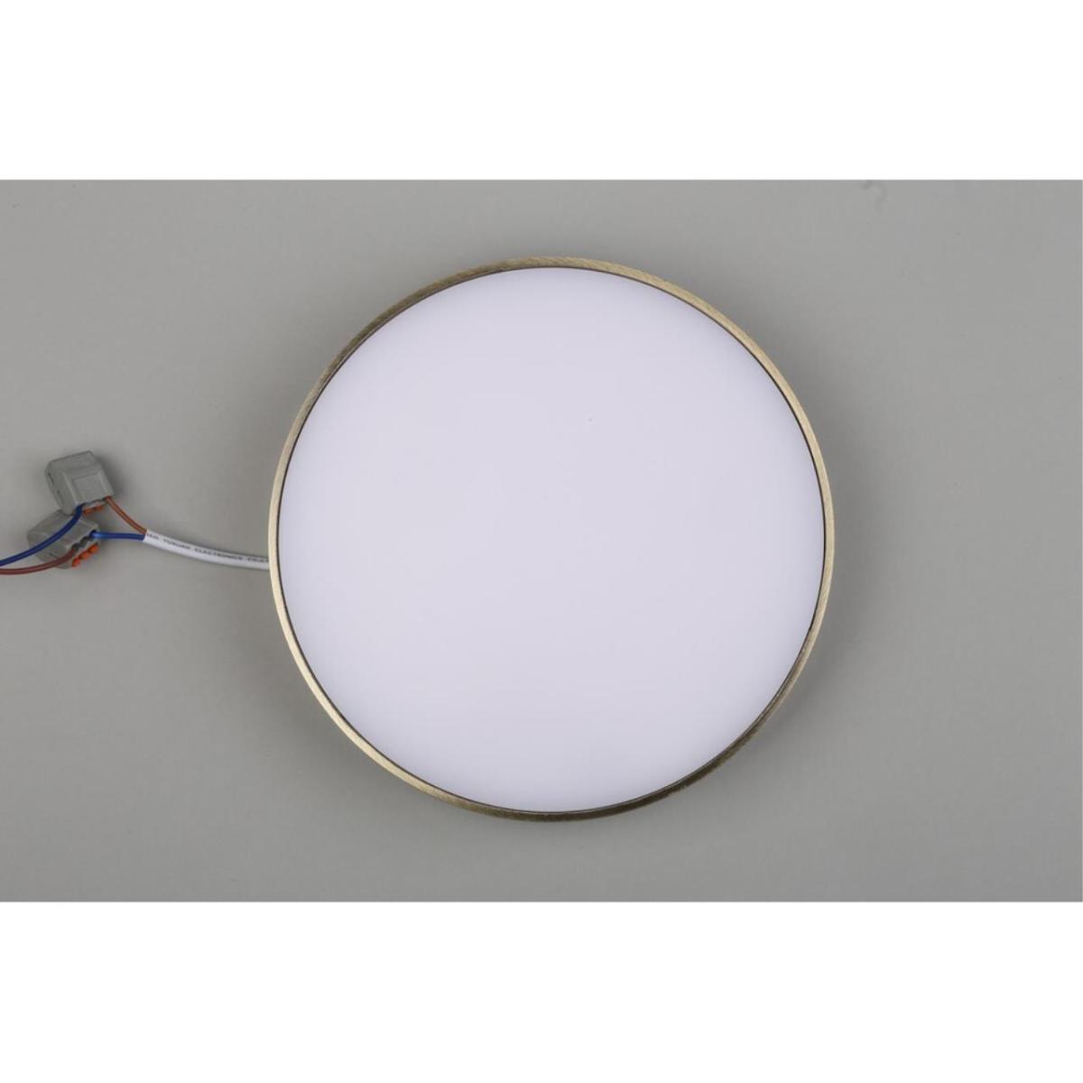 Потолочный светильник Aployt Evon APL.0114.29.24