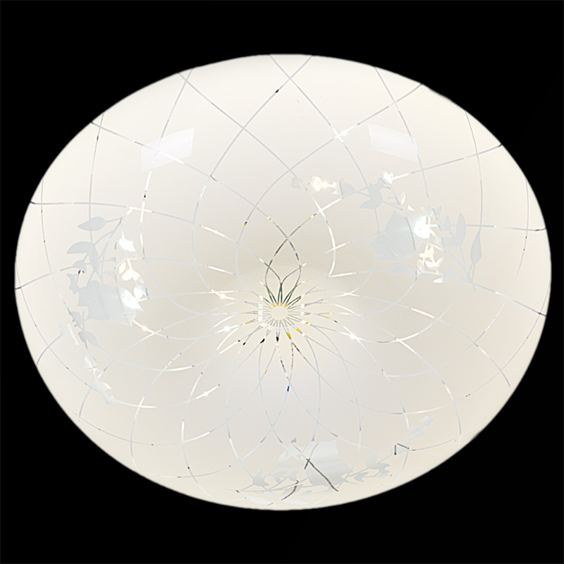 Потолочный светильник Reluce 03651-9.2-24W*2