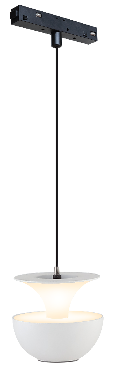 Трековый магнитный светильник iLedex Vision SMART 4822-012-D80-6W-38DG-WH