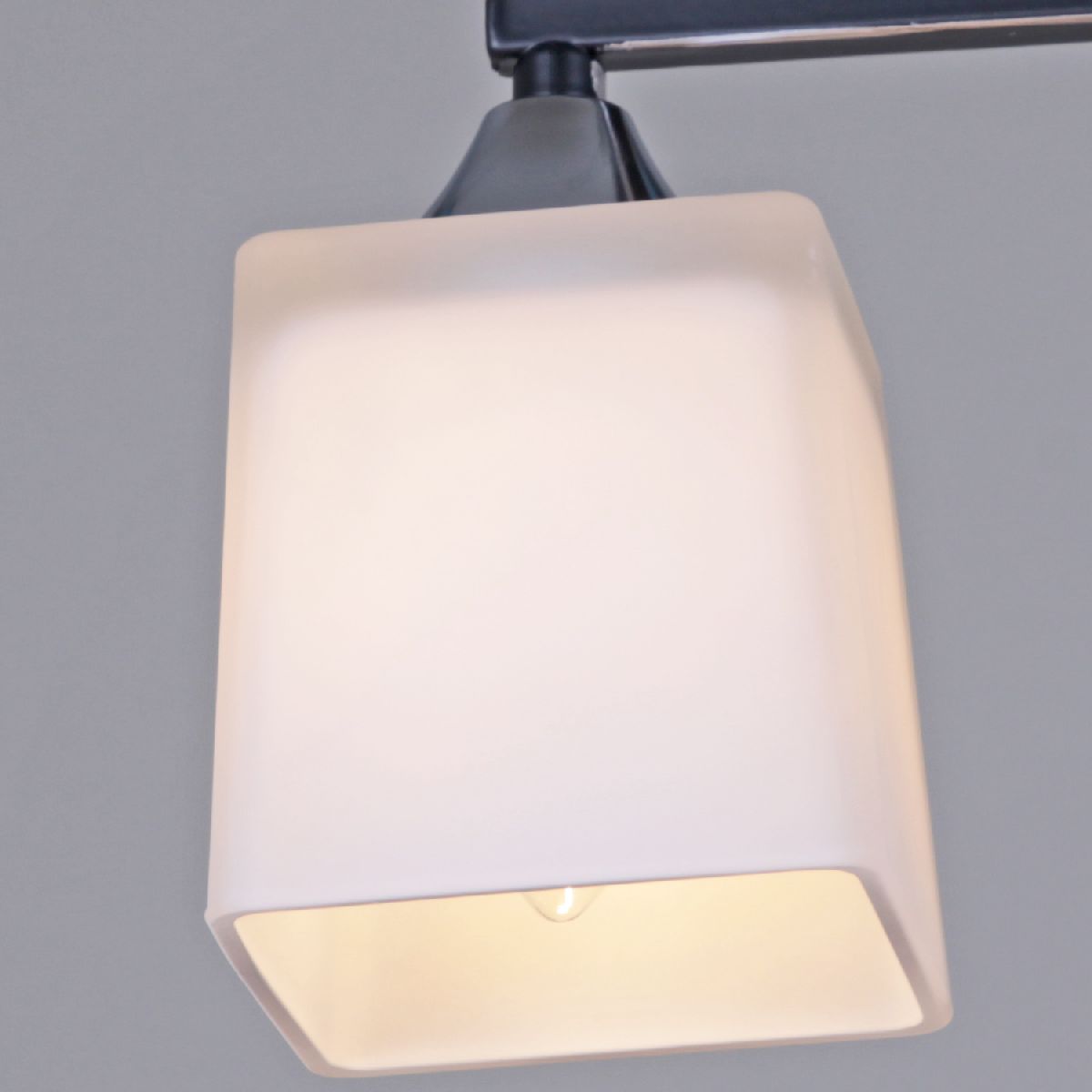 Потолочный светильник Reluce 05017-0.3-02 BK+CR