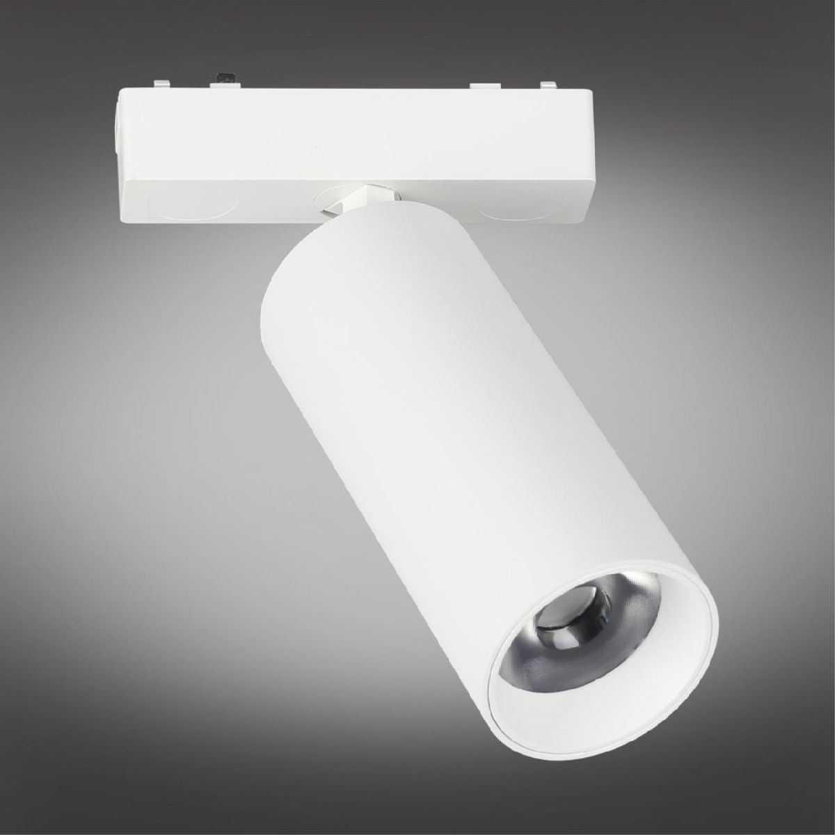 Трековый магнитный светильник Aployt Magnetic track 48 APL.0114.10.18