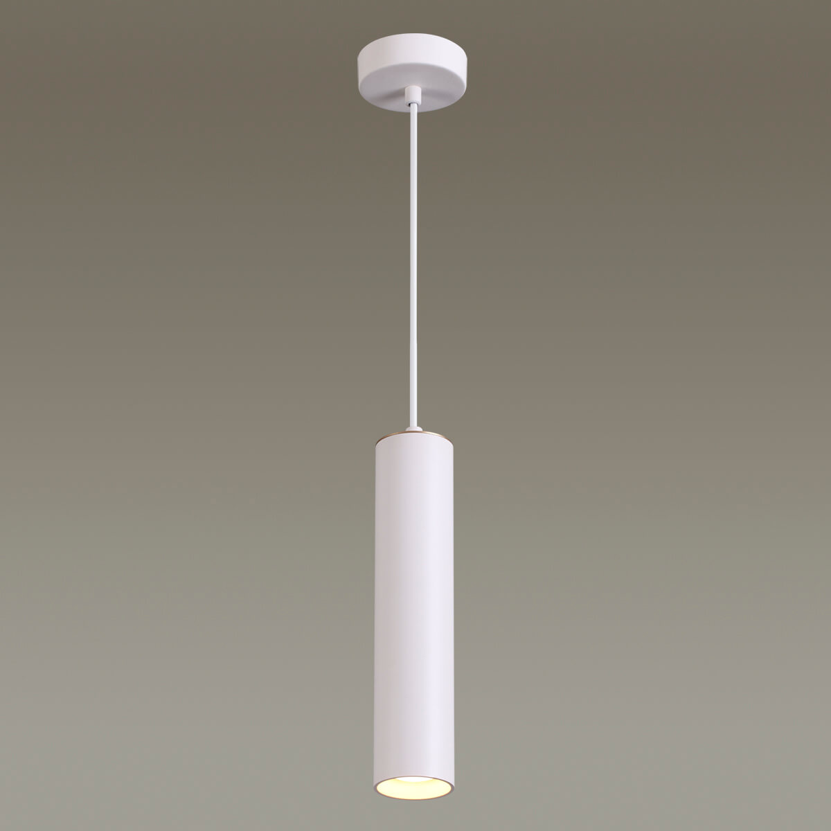 Подвесной светильник Odeon Light Corse 3873/1L