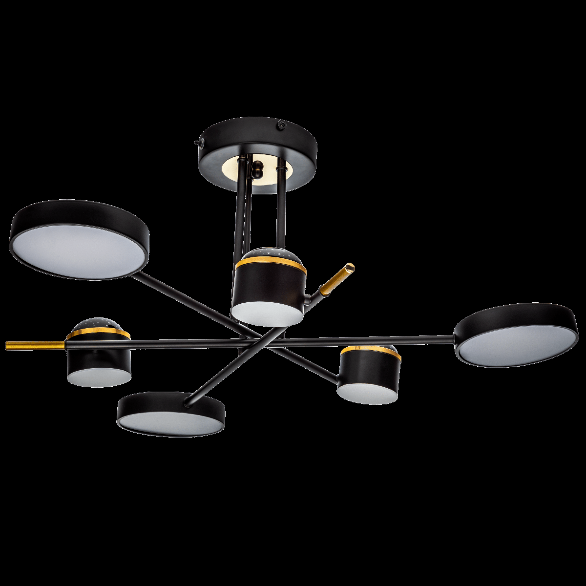 Потолочная люстра Ritter Notte 51631 0