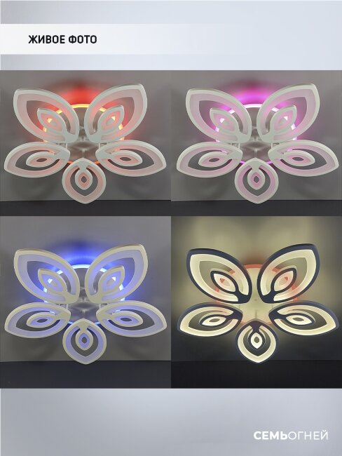 Потолочная люстра Wedo Light Crotone 75334.01.09.05RGB