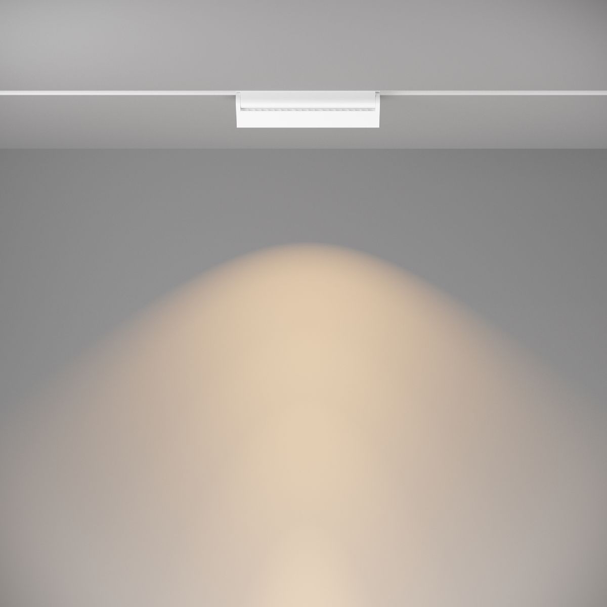 Трековый светильник Maytoni Technical Basis Rot TR075-2-20W3K-W