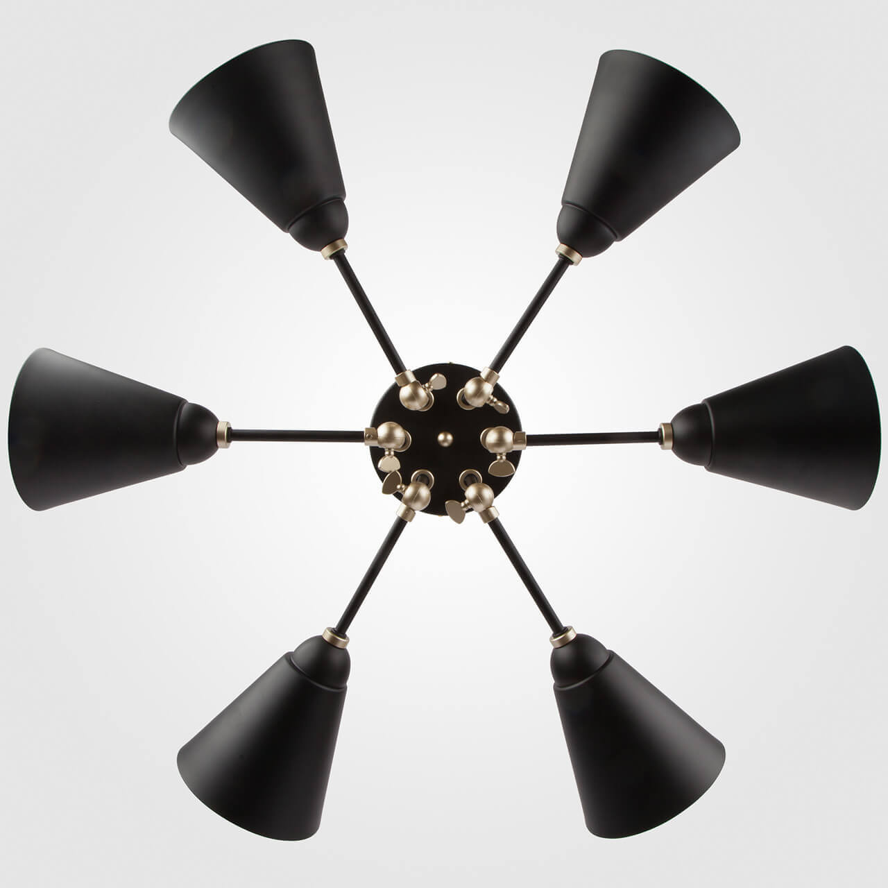 Потолочный светильник Eurosvet 70052/6 черный/золото