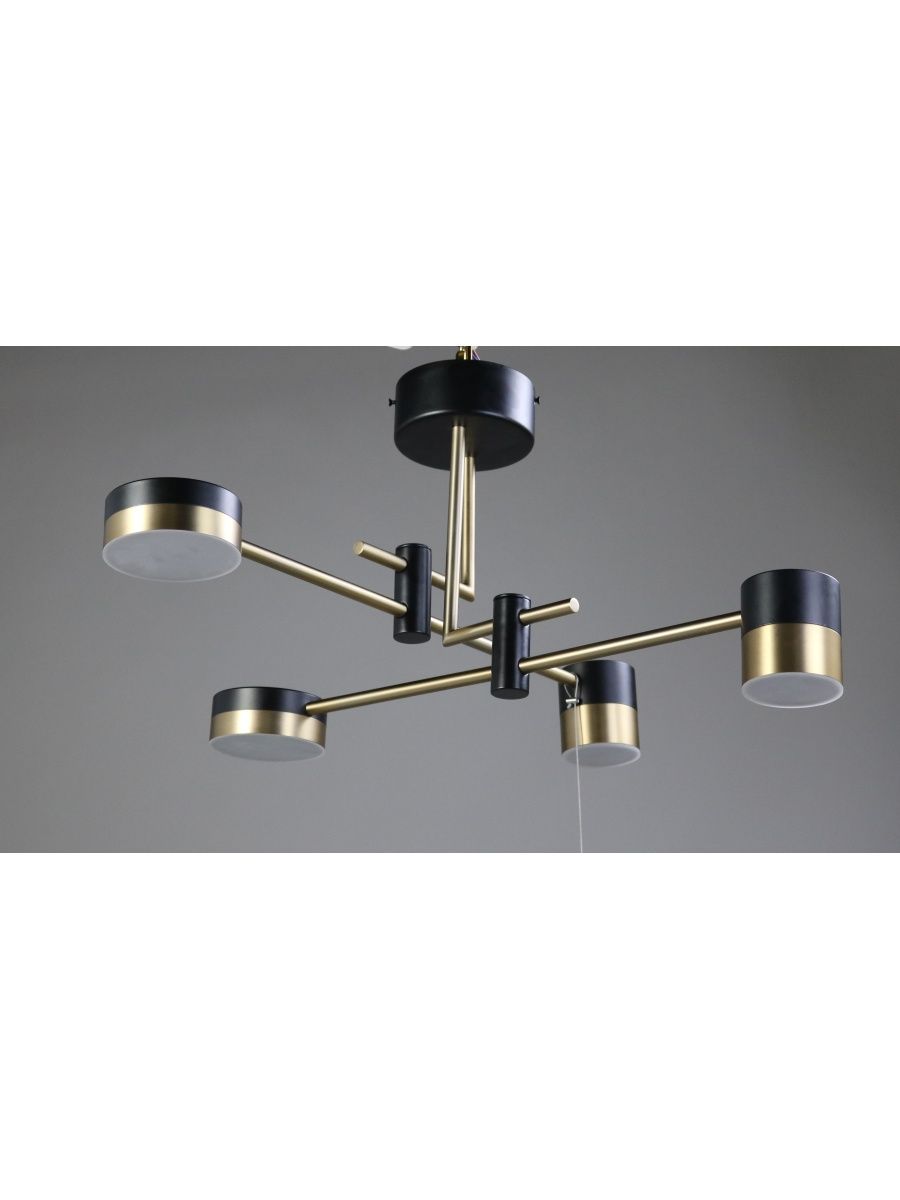 Люстра на штанге Zortes Lunar ZRS.1805.04