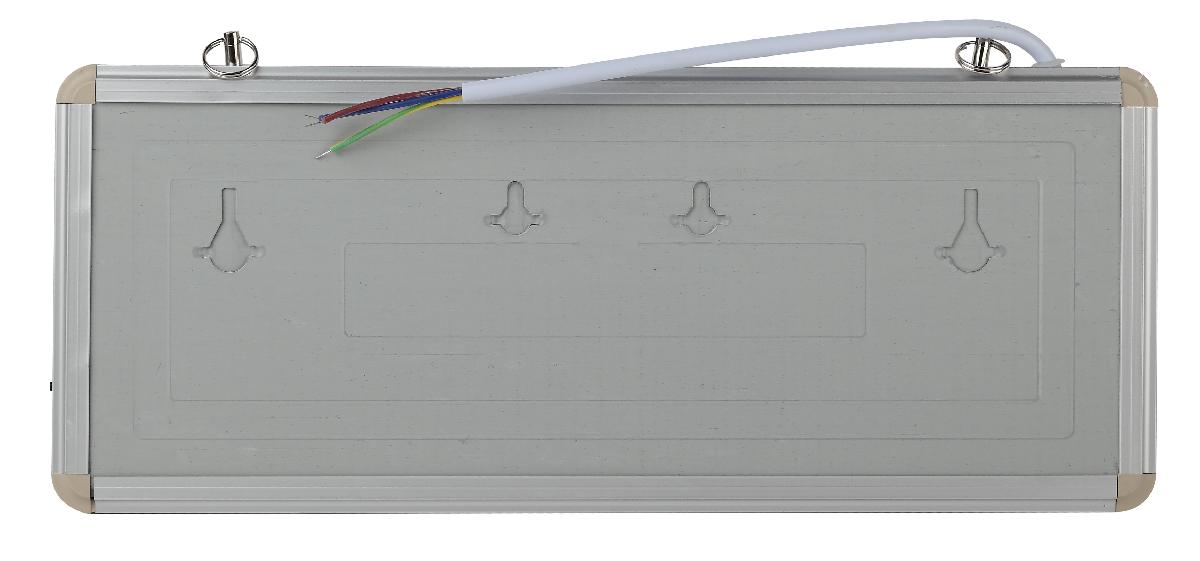 Аварийный светильник Эра SSA-101-1-20 Б0044388
