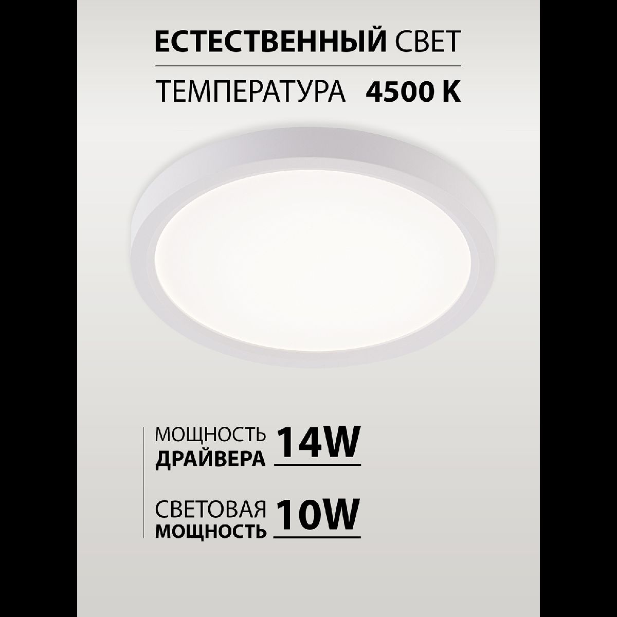 Потолочный светильник Natali Kovaltseva Plain LED LAMPS 81113/1C